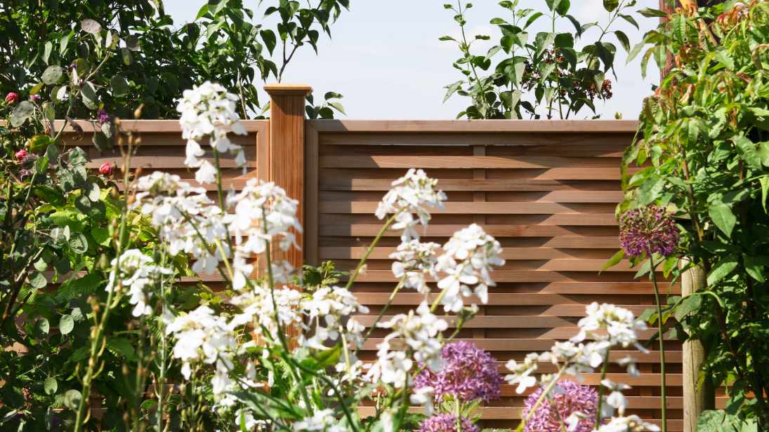 Garden Fencing-2 Property Maintenance