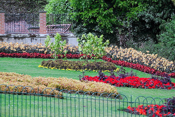 Garden Fencing-4 Property Maintenance